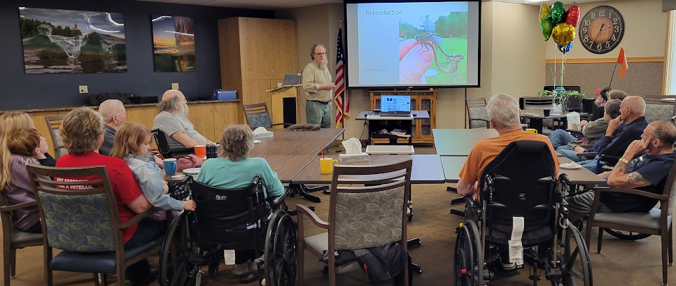 Learning about Dragonflies Learning about Dragonflies