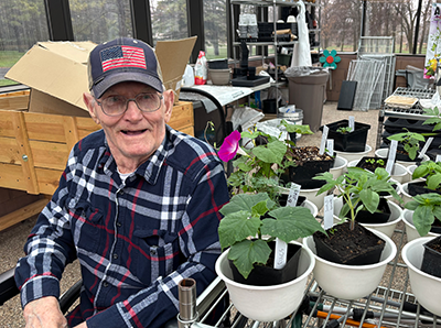 Fergus Falls Seedlings Fergus Falls Seedlings