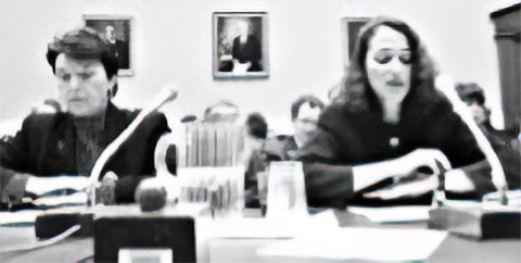 Advocates testify