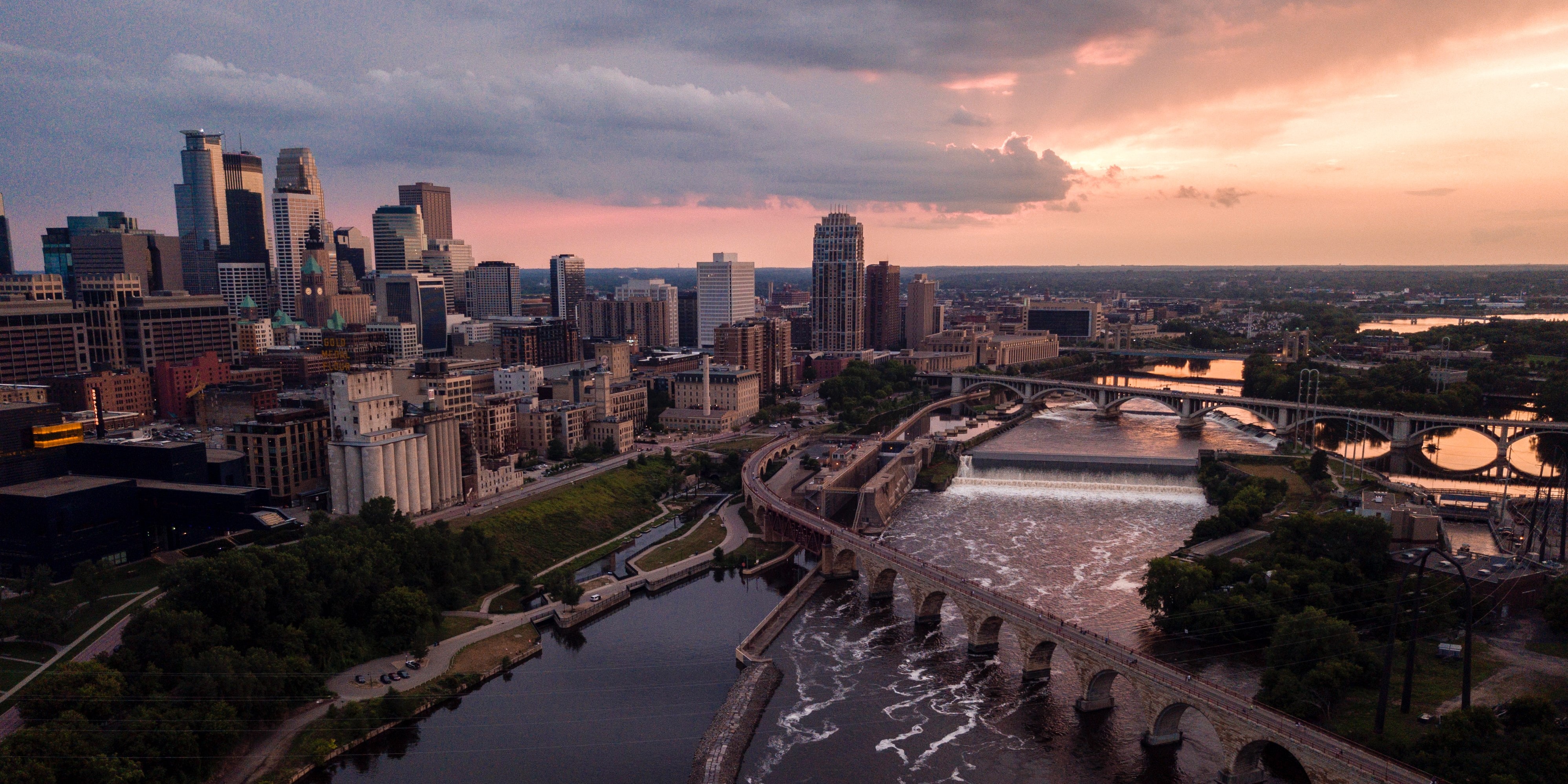 image of bumble bee on flower