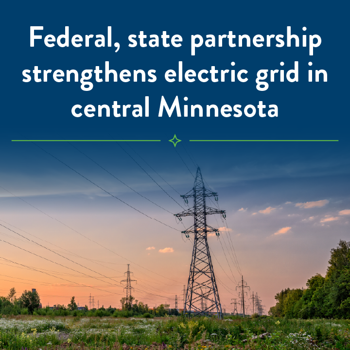 photo of electric transmission lines going through a rural area filled with trees and wildflowers