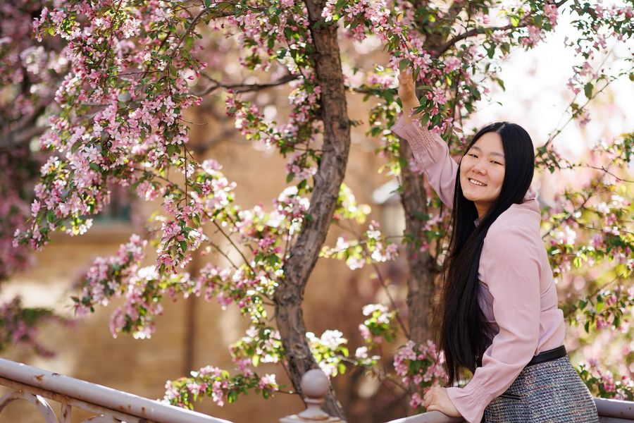 Keenan, a Chinese woman, is leaning against a railing in front of many pink and blooming apple blossom trees with golden sunlight streaming throughout. She wears a pale pink shirt, a rainbow tweed skirt, and a black belt. Her long black hair is flowing down her shoulders and reaching her waist. She holds a branch with her right hand while her left hand rests on the rail. The tree trunks are narrow and curving in an S-shape with many blossom branches shooting out.