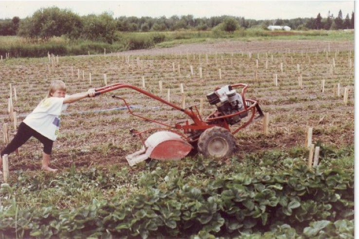 A snapshot of Rochella as a young child in the farming field, pushing a tiller across a row of plants.