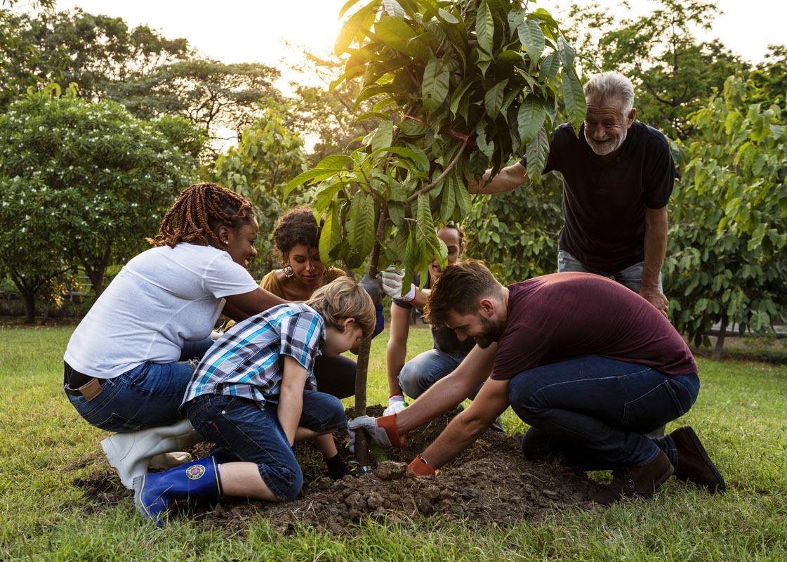 Group of adults, teens and a child planting a tree.
