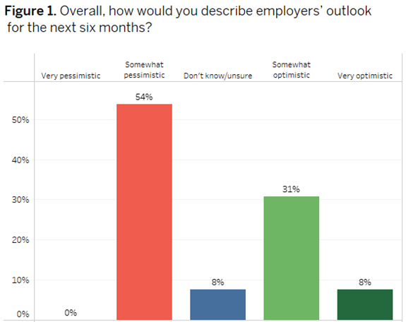 Figure 1. Overall, how would you describe employers' outlook for the next six months?