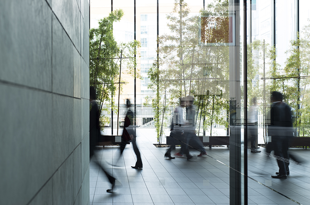 Windows of an office building