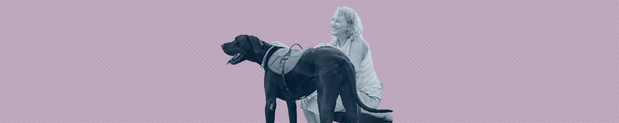 A woman with mobility issues sits with her hand resting on her great dane service dog.