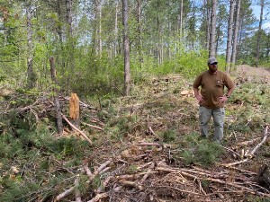 Feature image for Keith Karnes, Indian Affairs Council Representative, Hosts Forestry Tour