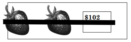 chap5-verifying-winners