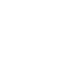 grants-policy-icon