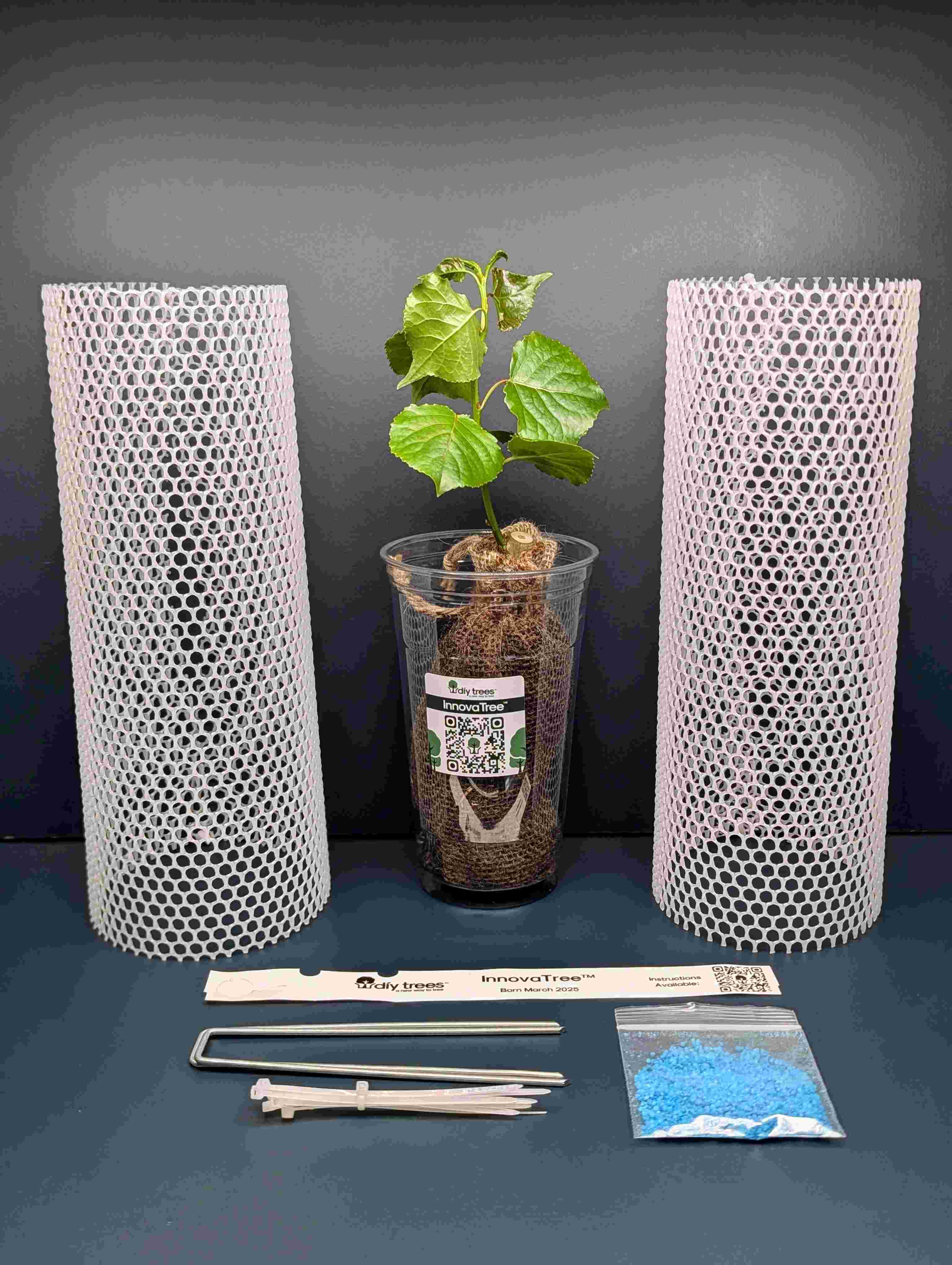 DIY Trees