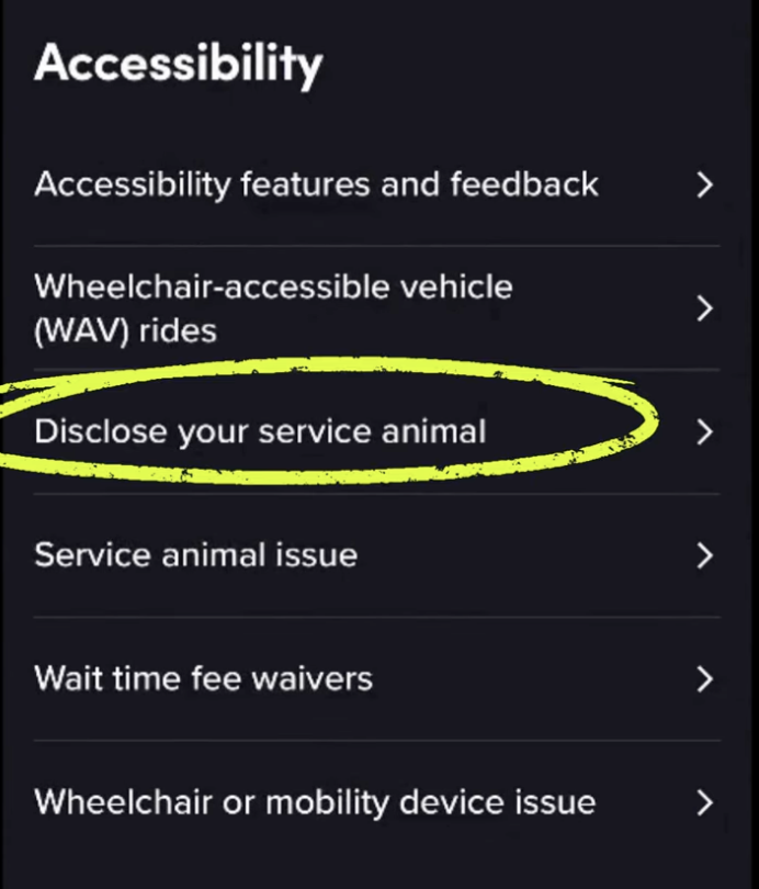 Lyft accessibility menu screenshot Lyft accessibility menu screenshot