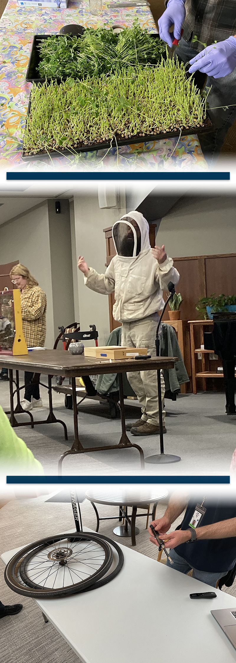 Microgreens, Bee Suit, and Wheels
