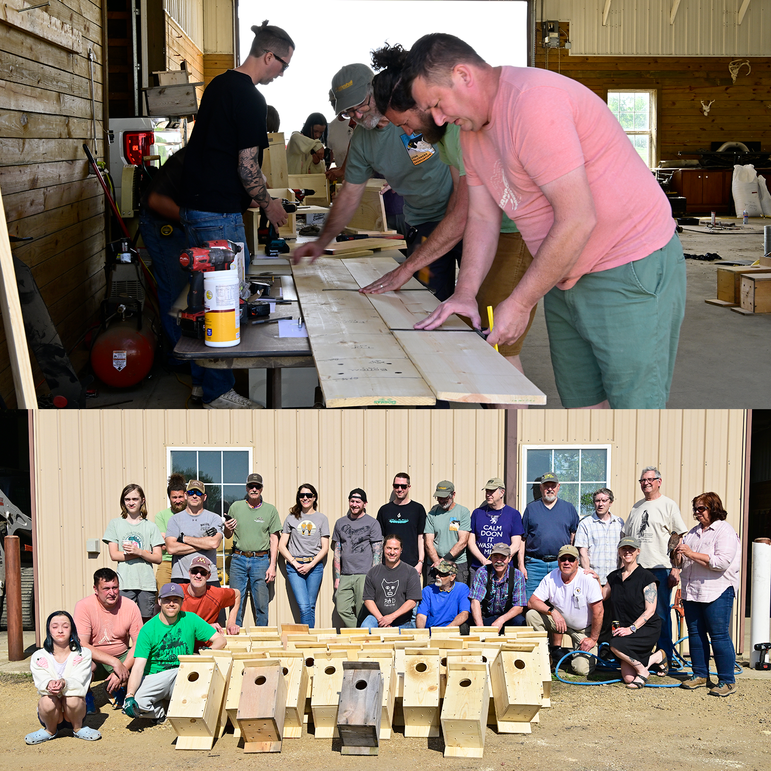 Kestrel Box Building