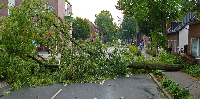 Feature image for Disaster Relief Grants Available
