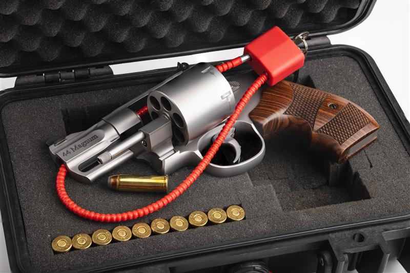 Cable Gun Lock