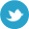 Twitter logo image