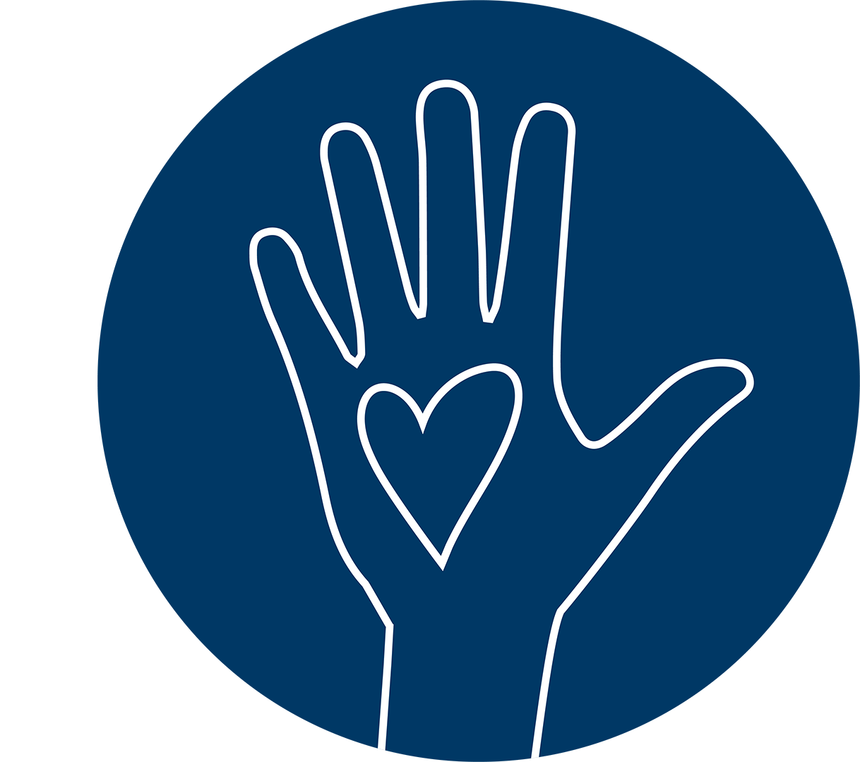 A hand held up showing a heart in the palm