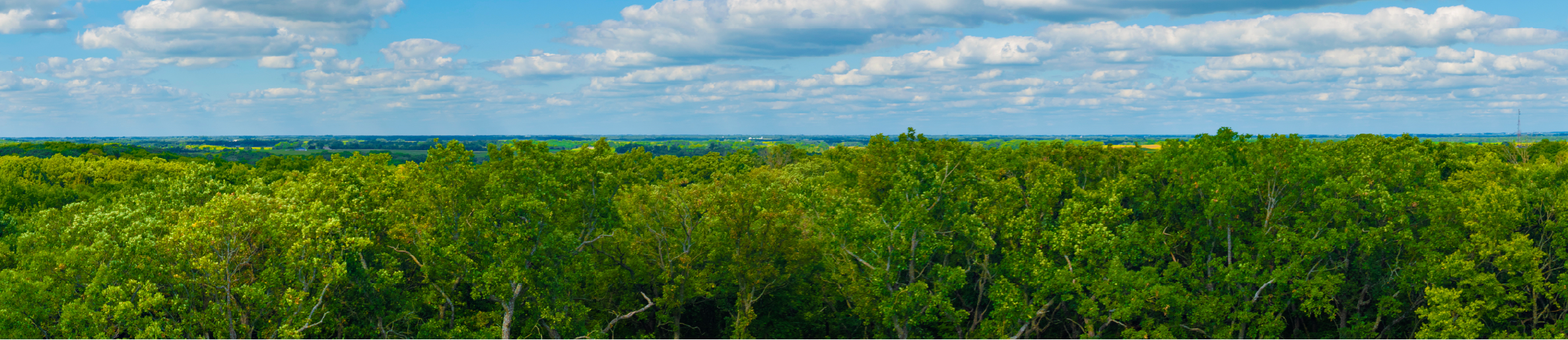 Minnesota Landscape