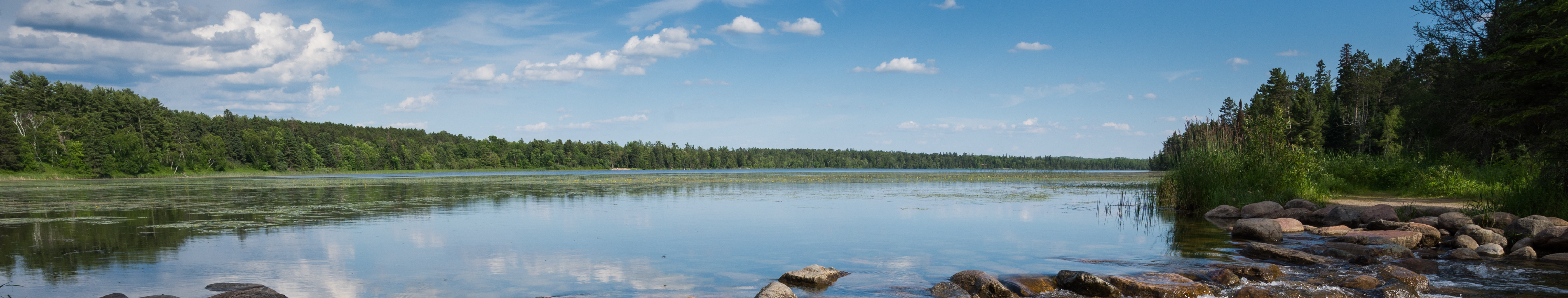 Minnesota Lake