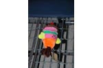 Left Behind Toy