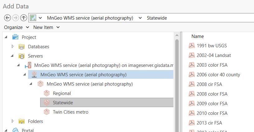 ArcGIS Pro "Add Data" window shows the "MnGeo WMS service" expanded and the "Statewide" option expanded with several WMS options