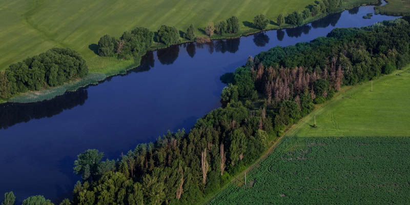River with trees and grassy field on its banks