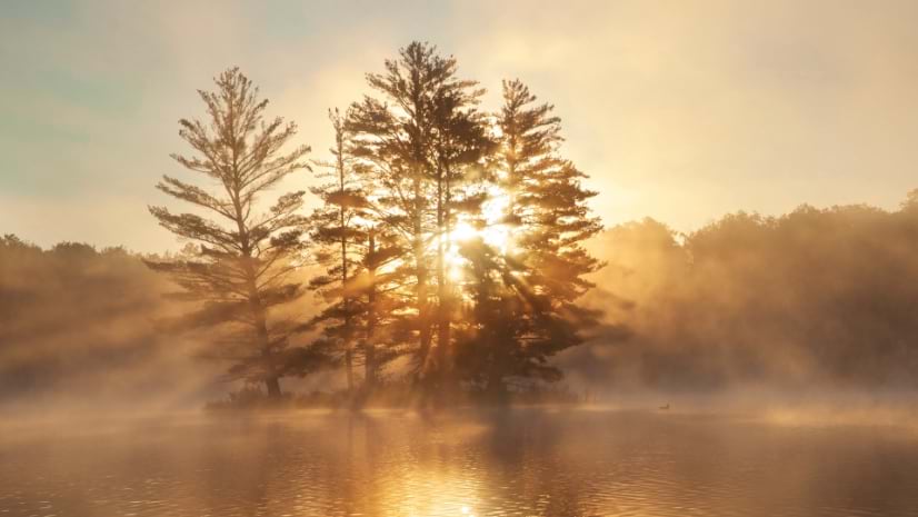 Feature image for Good Governance in Minnesota Starts with Geospatial Data