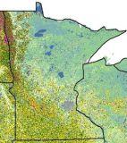 Cropland data layer shows green and yellow in the southwest of Minnesota