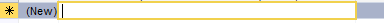 Screenshot of Access database shows new entry, with an asterisk followed by (New) and a blank row