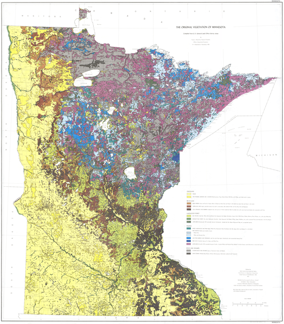 Map of Original Minnesota Vegetation shows clear divide between the west and northeast part of the state