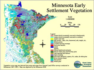 Map of Minnesota Early Vegetation with Legend