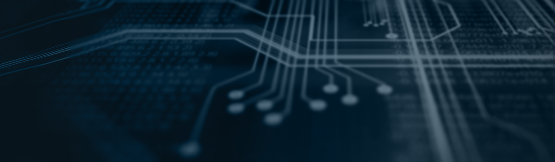 Feature image for Q2 2024 Quarterly Report