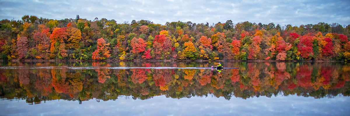 A rower boating on the glassy-calm Mississippi river at the height of autumn. 