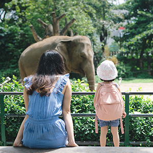 A parent and child looking at an elephant in a zoo enclosure