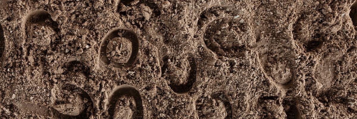 horse hoofprints in dirt