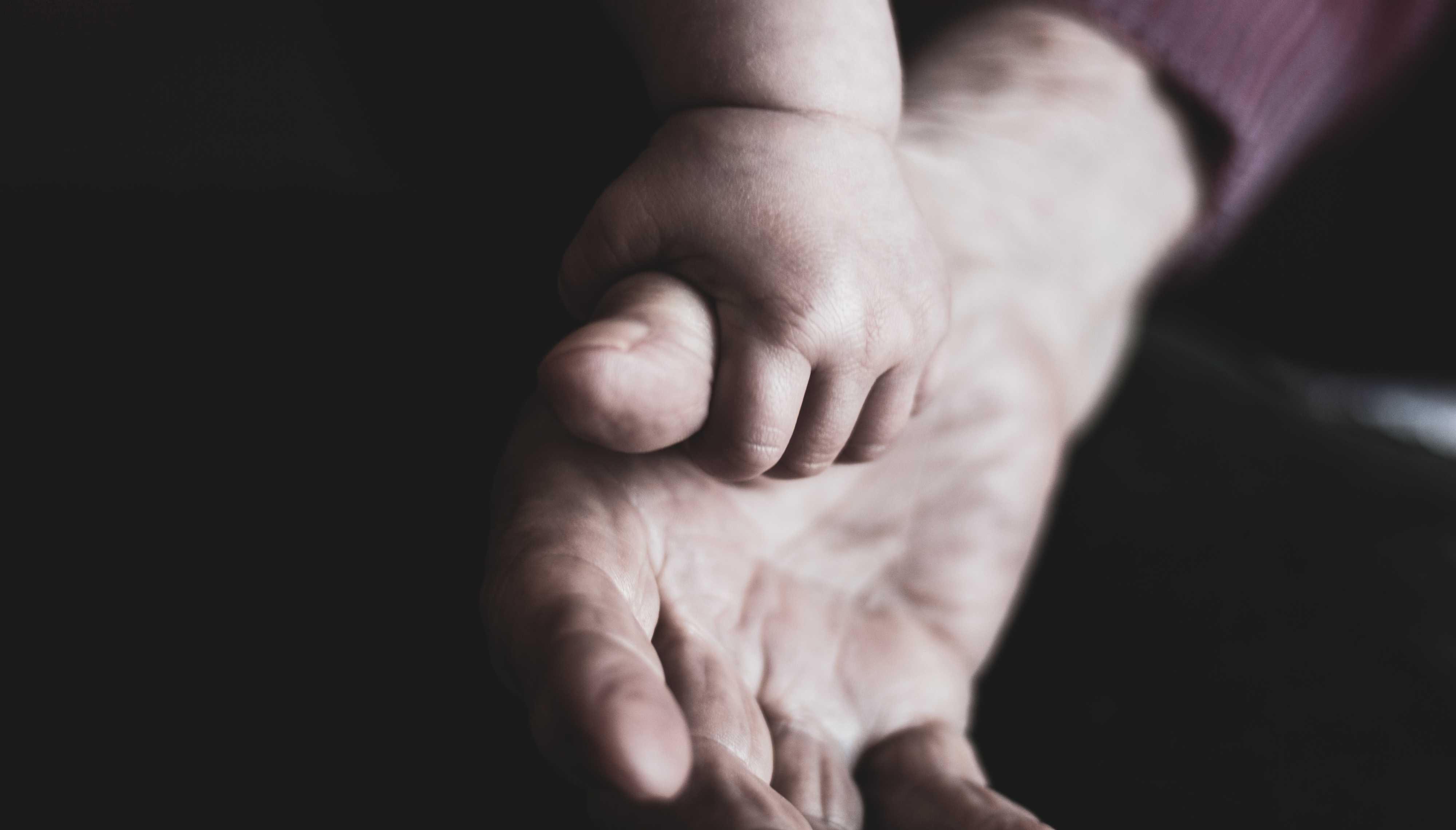 Hands