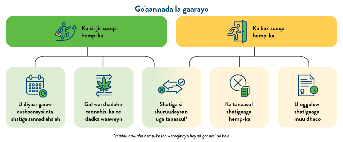 Go'aannada la gaarayo: 1. Ku sii jir suuqa hemp-ka (U diyaar garow cusboonaysiinta shatiga sannadlaha ah, Gal warshadaha cannabis-ka ee dadka waaweyn, Shatiga si shuruudaysan uga tanaasul*). 2. Ka bax suuqa hemp-ka (Ka tanaasul shatigaaga hemp-ka, U oggolow shatigaaga inuu dhaco, Shatiga si shuruudaysan uga tanaasul*). *Haddii hawlaha hemp-ka loo wareejinayo hay'ad ganacsi oo kale.