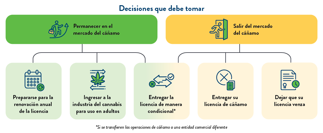 Decisiones que debe tomar Decisiones que debe tomar: 1. Permanecer en el mercado del cáñamo (Prepararse para la renovación anual de la licencia, Ingresar a la industria del cannabis para uso en adultos, Entregar la licencia de manera condicional*). 2. Salir del mercado del cáñamo (Entregar su licencia de cáñamo, Dejar que su licencia venza, Entregar la licencia de manera condicional*). *Si se transfieren las operaciones de cáñamo a una entidad comercial diferente.