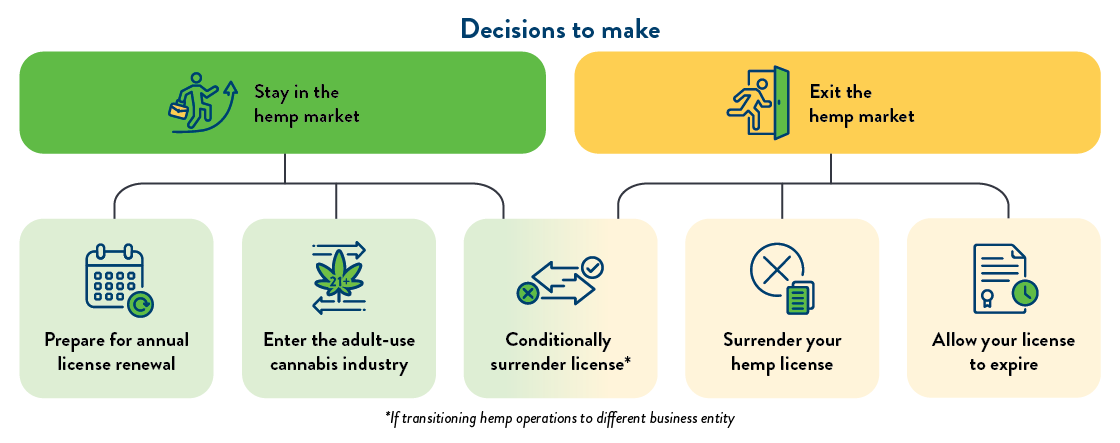 decisions to make graphic A flowchart titled Decisions to make. The first layer of the chart shows two options: stay in the hemp market and exit the hemp market. Stay in the hemp market then flows into two decisions: prepare for annual license renewal and enter the adult-use cannabis industry. It also branches into a decision that exit the hemp market flows into as well: conditionally surrender license, which has an asterisk of if transitioning hemp operations to different business entity. Finally, exit the hemp market flows into two more decisions: surrender your hemp license and allow your license to expire.
