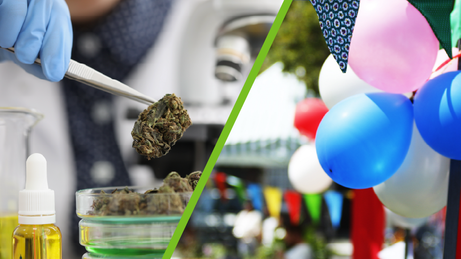 split photo with half showing a person testing cannabis in a lab and the second half showing a street event with balloons and booths
