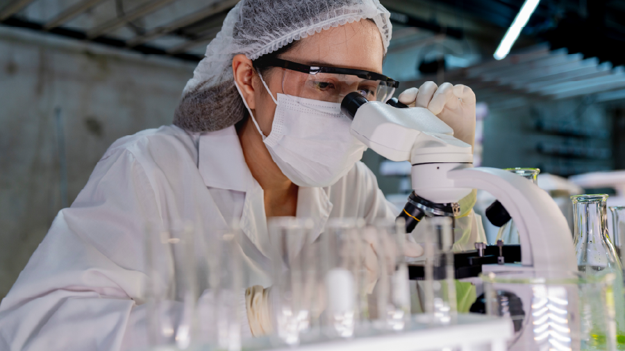 A researcher in a sterile lab conducts scientific testing of cannabis using a microscope and test tubes. 