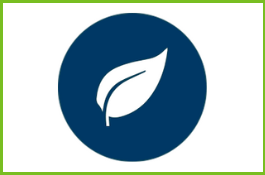 Feature image for Ecosystem Services
