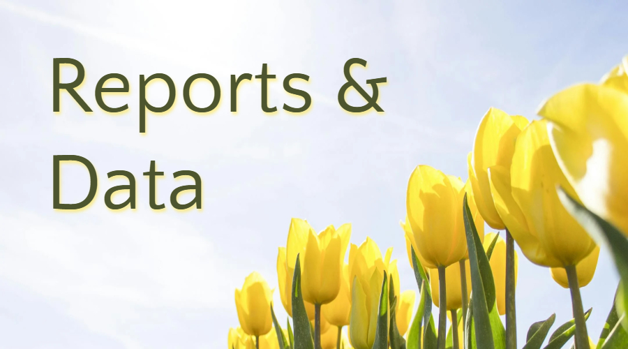 Feature image for Sentencing Practices Data Reports