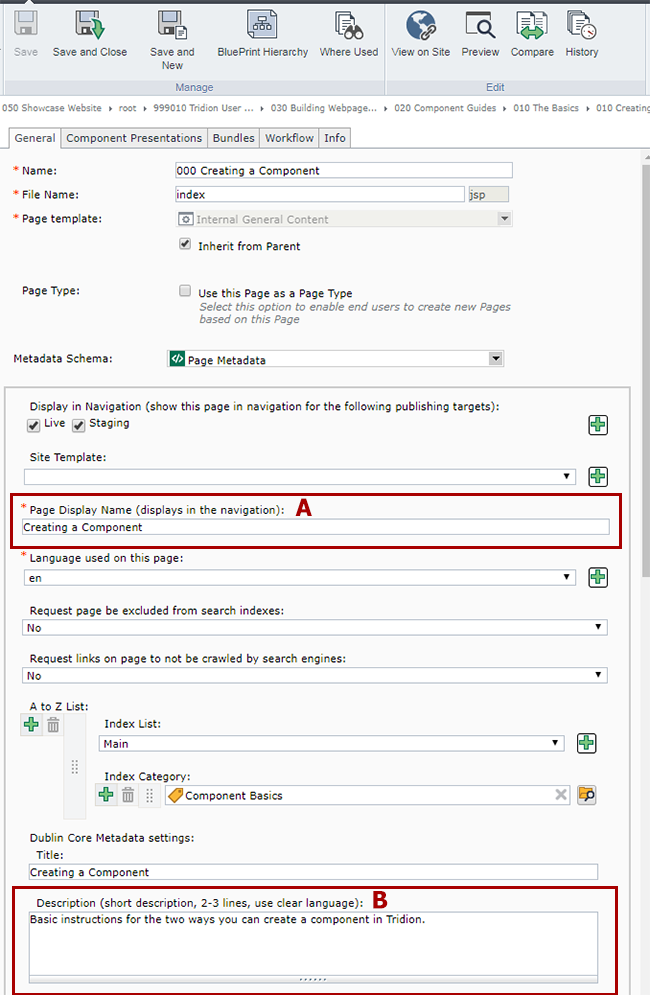 Page metadata with the Page Display Name and Dublin Core description fields highlighted