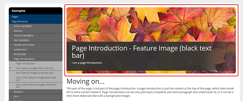 page with a page introduction highlighted