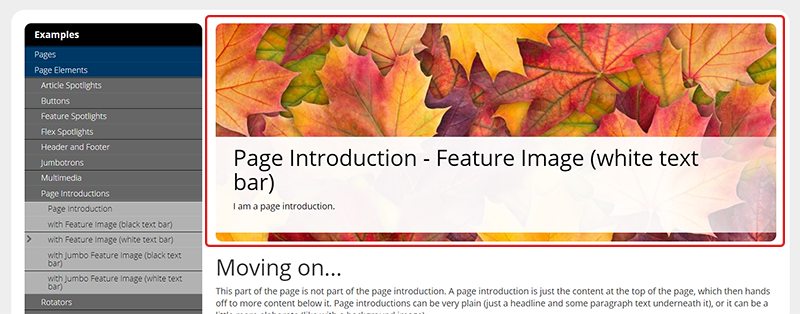 page with a page introduction highlighted