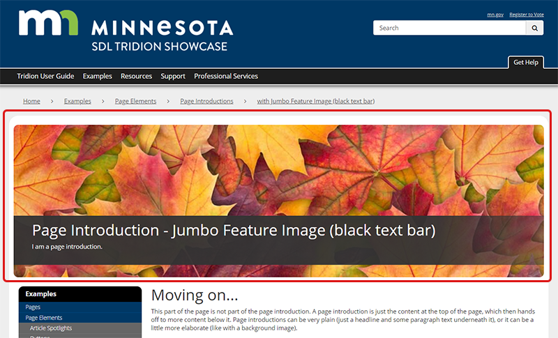 page with a page introduction highlighted