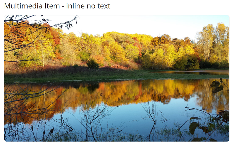 example of inline multimedia item without text