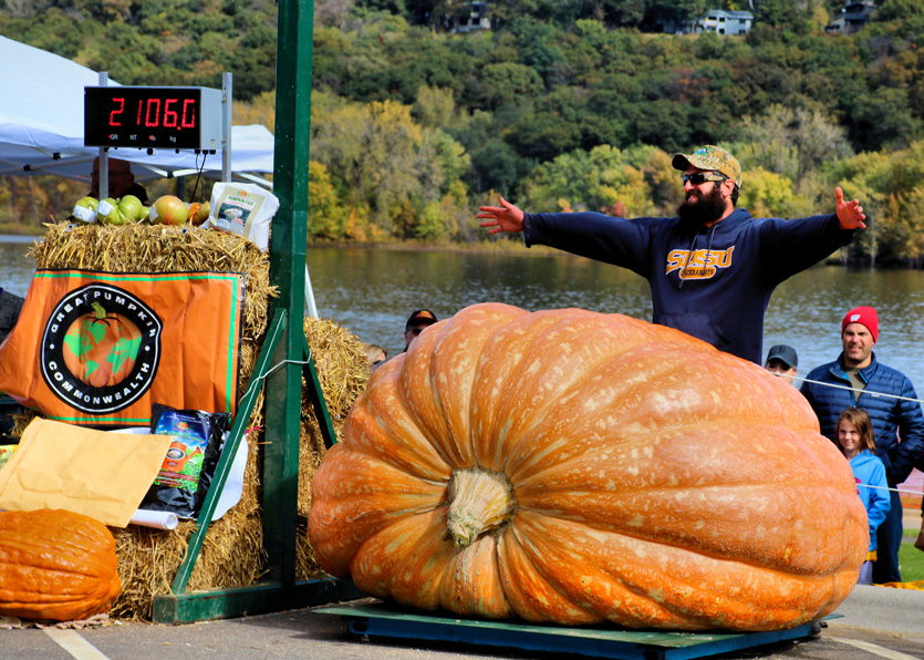 Giant pumpkin at the Stillwater Harvest Festival / Photo Credit: Thomas Wieland